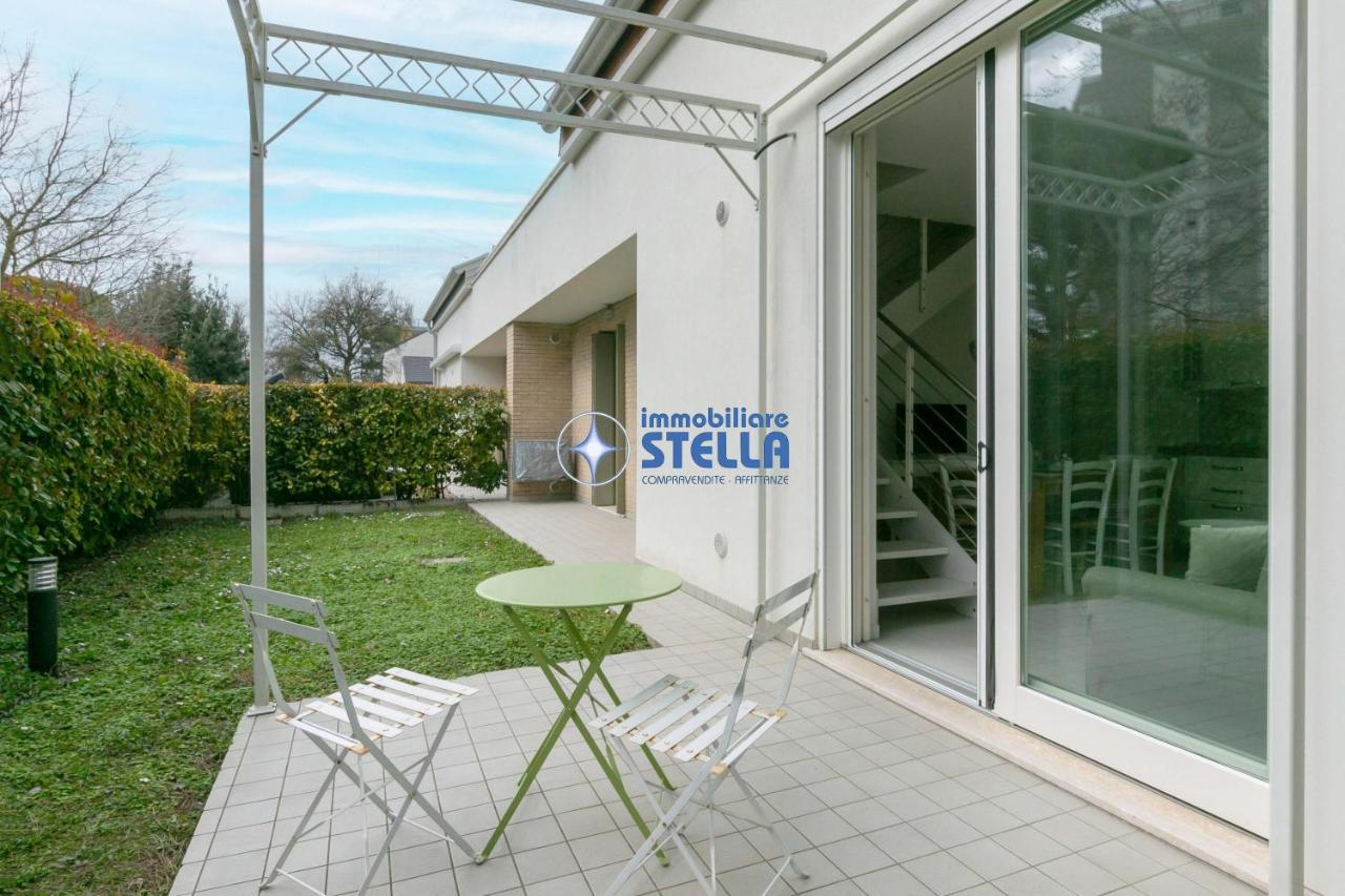 Stella *